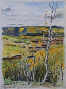 TS 11 Birches on Bear Mountain, Watercolour Sketch, 8x11 - $300
