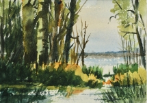 TS 30 Bush Lake, Watercolour, 6.5x4.5 - $160