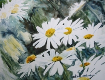 TS 18 Lots of daisies, Watercolour, 13.5x10.5 - $400