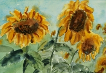 TS 45 Sunflowers in the Field, Watercolour, 6.5x4.5 - $160