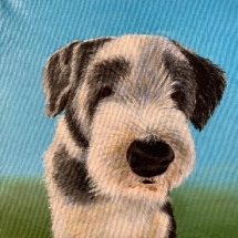 CM 03, Pepper, Acrylic, 12 x 12 inches, NFS