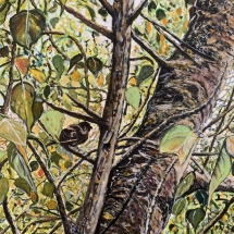 AM2, Camouflage, Agnes McDonald, Acrylic, 9 x 12, $125