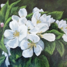 KD02, Blossoms WB127, Koreen Deheus, Acrylic, 5x7$90