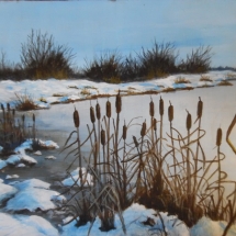 KD03, Cattails WB131, Koreen Deheus, Acrylic, 5x7 $90