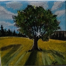 LP11, Tree Shadow, Leah Penner, Acrylic, $15