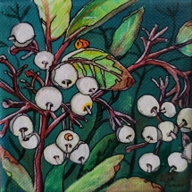 LP3, Dogwood Berries, Leah Penner, Acrylic, 4X4, $40