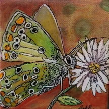 LP5, Spring Butterfly, Leah Penner, Acrylic, 4X4, $40