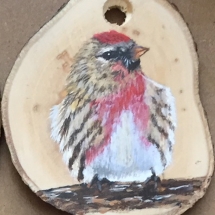 LQ3, Red Poll, Lori Quesnel, Acrylic, 2.5 x 3.5, $30