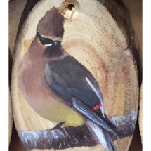 LQ8, Cedar Waxwing, Lori Quesnel, Acrylic, 2.25 x 3.25, $30
