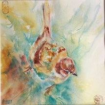 MZM3, Sparrow, Mimi Zhang-Mackie, Watercolor, 6.5 x 6.5, $125