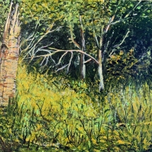 AM, Into the Woods, Agnes McDonald, Acrylic,8x10, $50