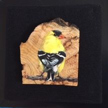 LQ05, “Goldfinch”, Lori Quesnel, Acrylic on Burl, 6”x6”, $75